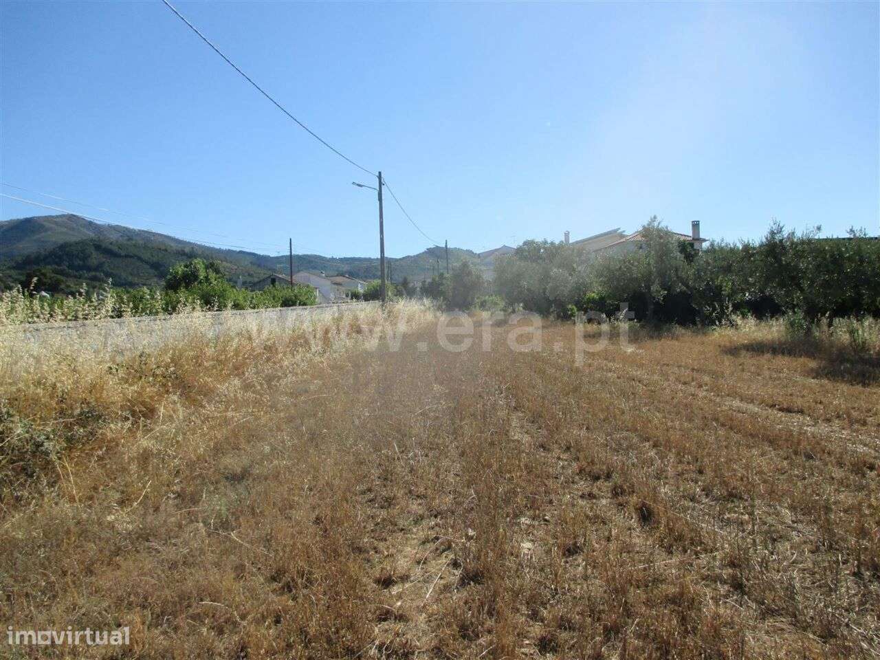 Terreno / Fundão, Donas - Grande imagem: 4/6