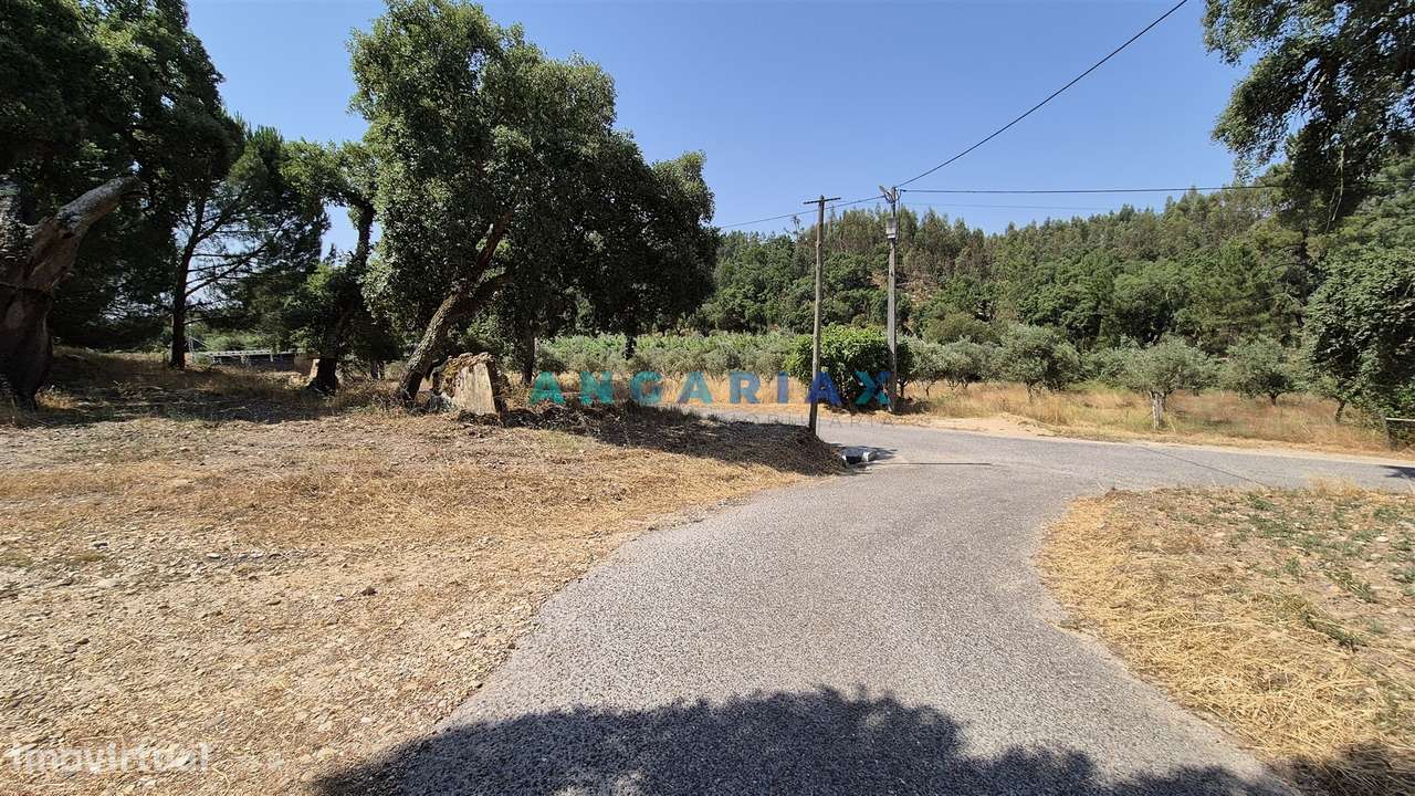 ANG1558 - Terreno para Venda em Bemposta, Abrantes - Grande imagem: 4/16