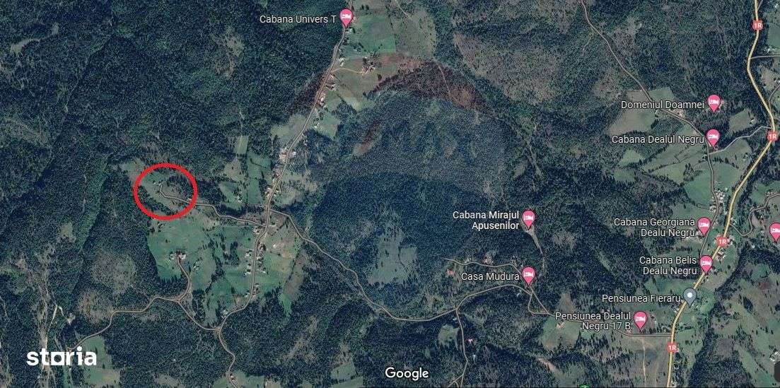 Teren de vanzare 8119 mp Calatele Padure.Muntii Apuseni - Imagine principală: 5/20