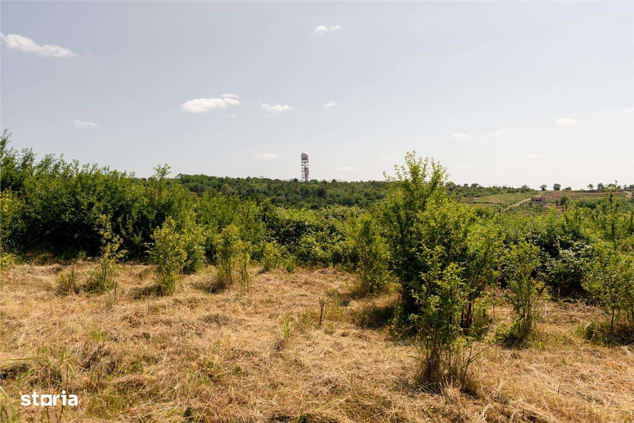 RECO Teren intravilan 1200 mp- front  30ml ,cu utilitati, Paleu - Imagine principală: 5/20