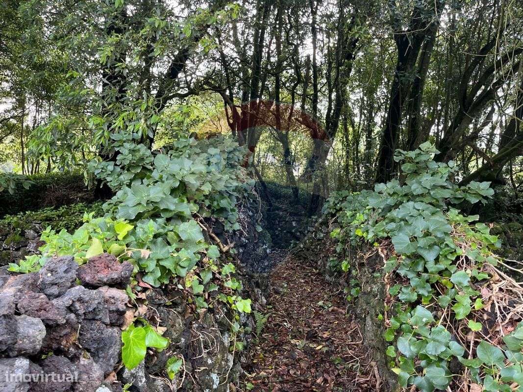 Terreno  para venda - Grande imagem: 3/6