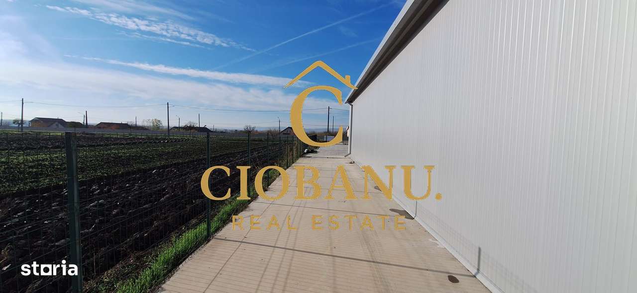 Hala de vanzare in Racarii de Jos-13