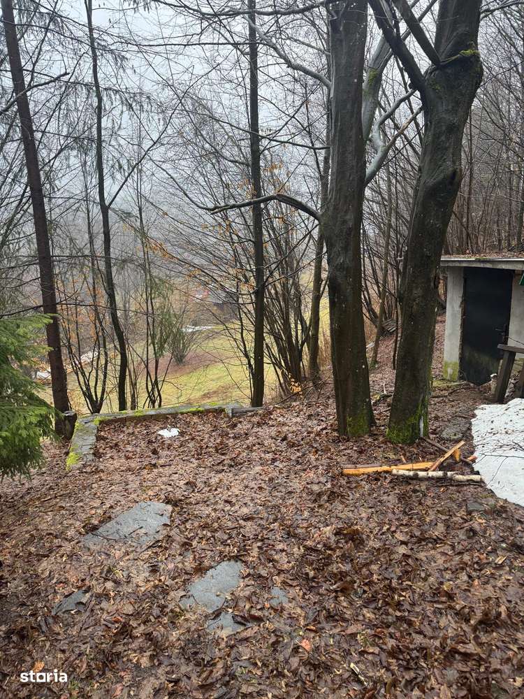 Casă de vacanță – Zona Baraj Firiza-4