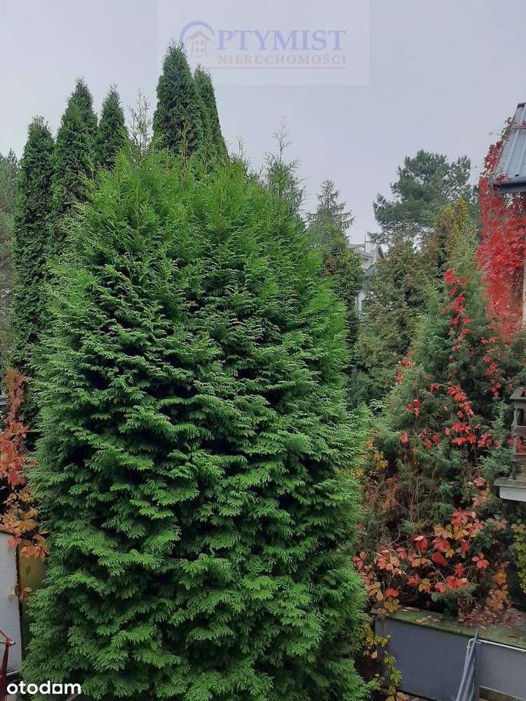 Dom, 205 m², Warszawa-10