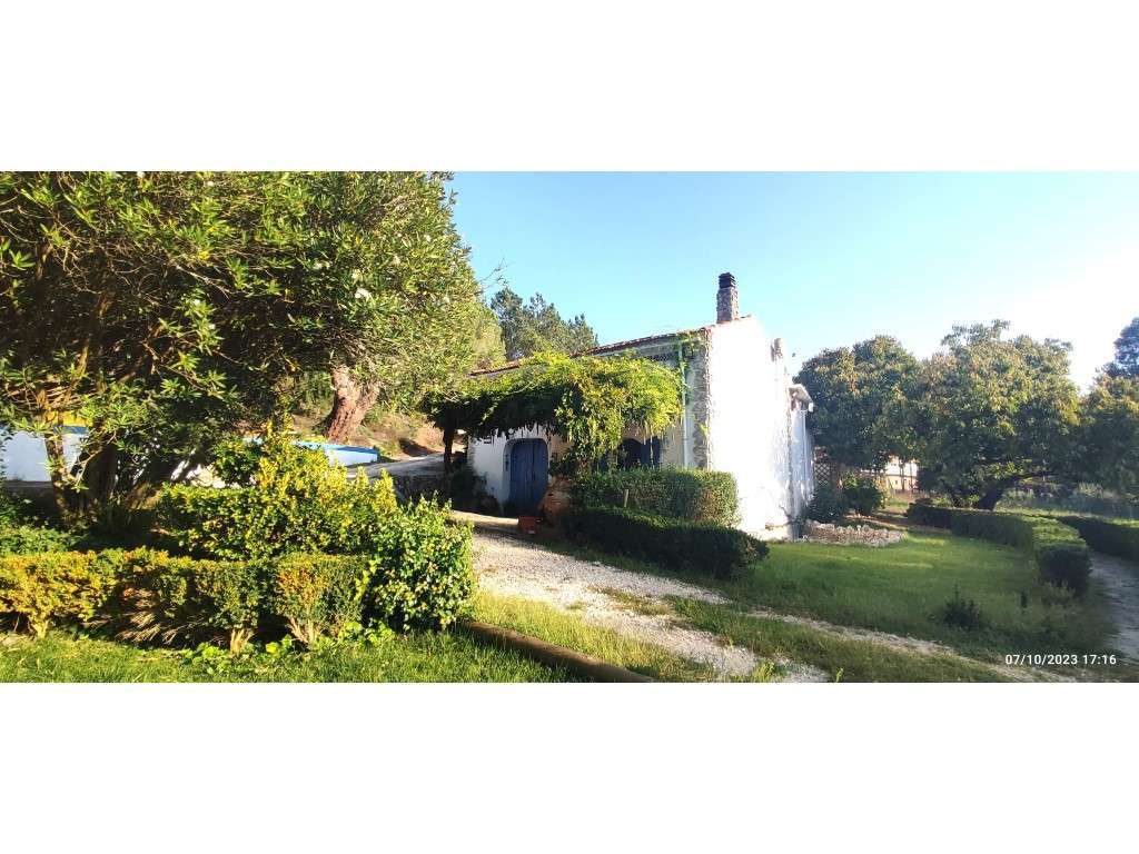 Quinta com duas moradias, anexos, diversas arvores de fruto, vinha ...-54