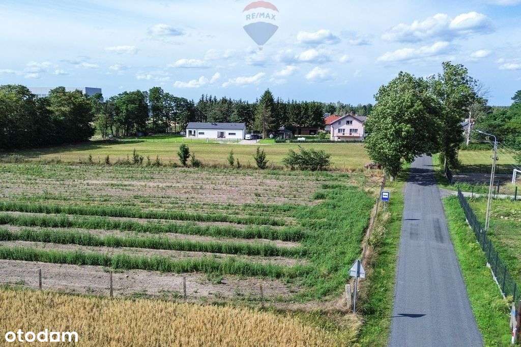 Teren 8000m2 podzielony na działki Wz k.Mszczonowa - Pełny obrazek: 4/12