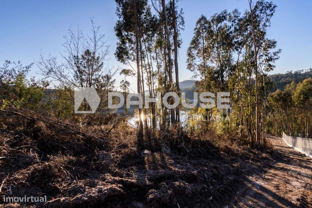 Terreno Junto a Barragem do Ermal - Grande imagem: 4/13