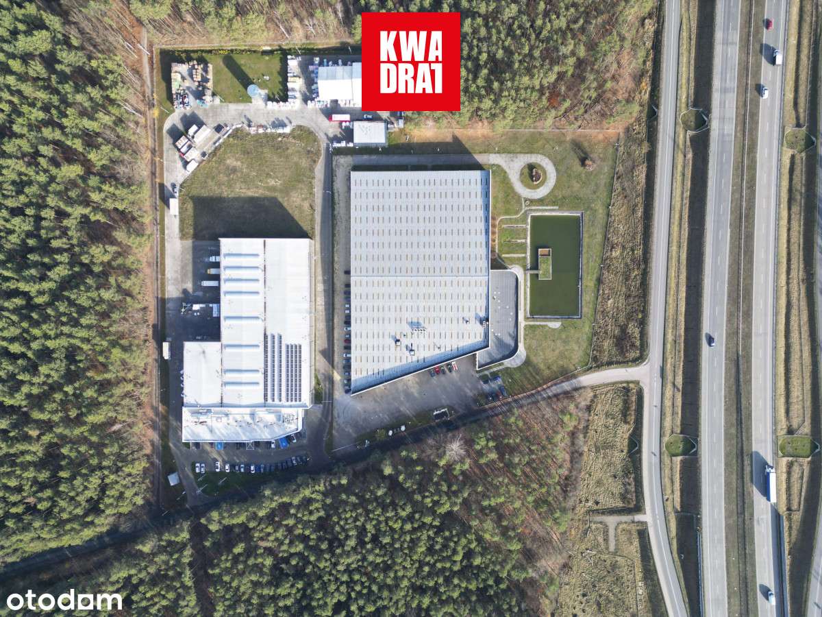 Investment Opportunity: Premium Industrial Complex-3