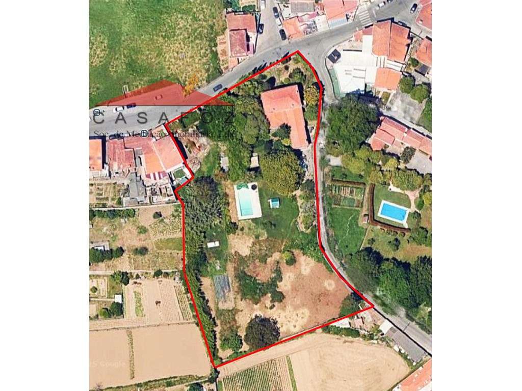 Venda de Propriedade / Quintinha a 2 km da Praia de Valadares-33