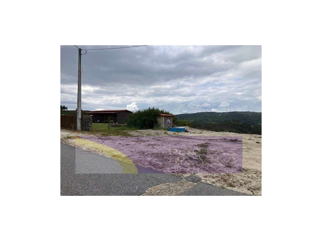 Terreno, Celorico de Bastos-9