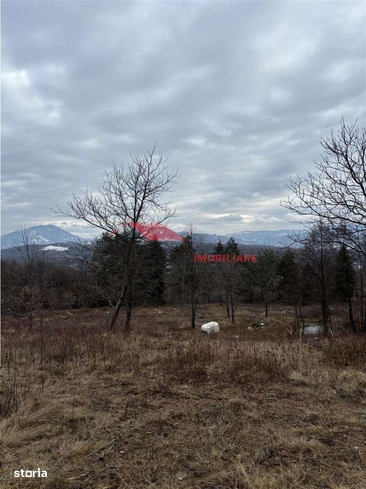 Teren cu 2 izvoare,  Prundul Bargaului - Imagine principală: 2/10