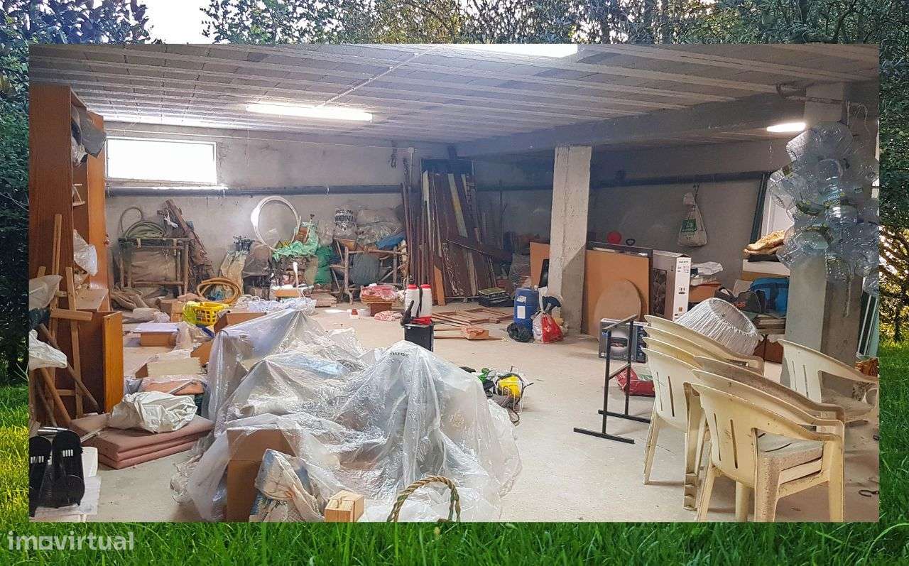 Quintinha com Mata secular-21