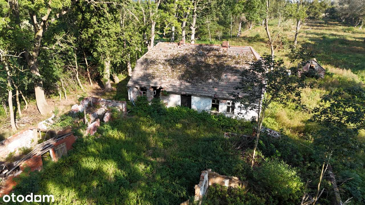 Wyjątkowe działki budowlane nad morzem z potencjałem siedliskowym - Pełny obrazek: 5/10