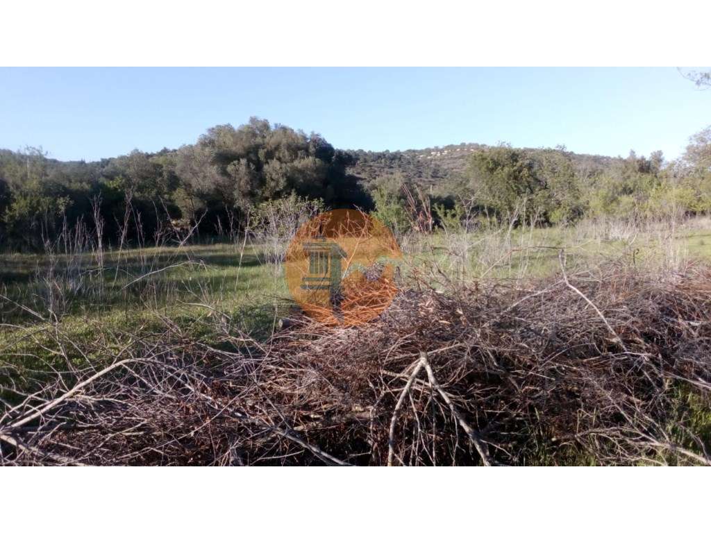 TERRENO RÚSTICO COM 11.200 M2 - PADERNE - ALBUFEIRA - ALGARVE-6