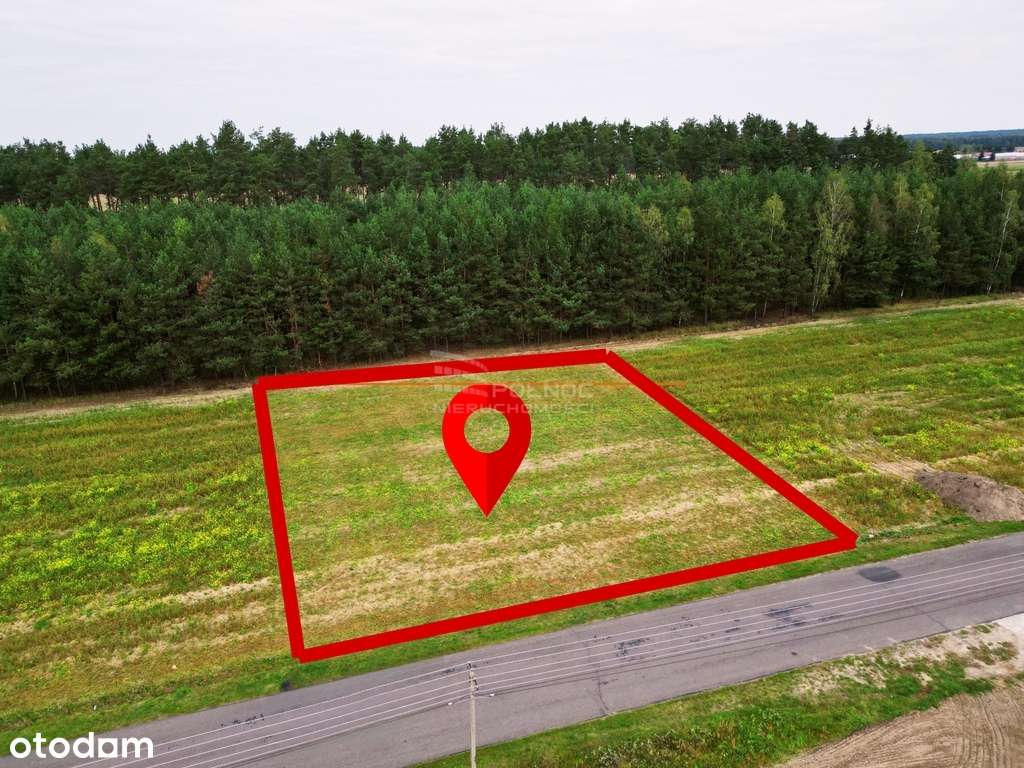 Działka budowlana w otoczeniu lasu - Pełny obrazek: 5/5