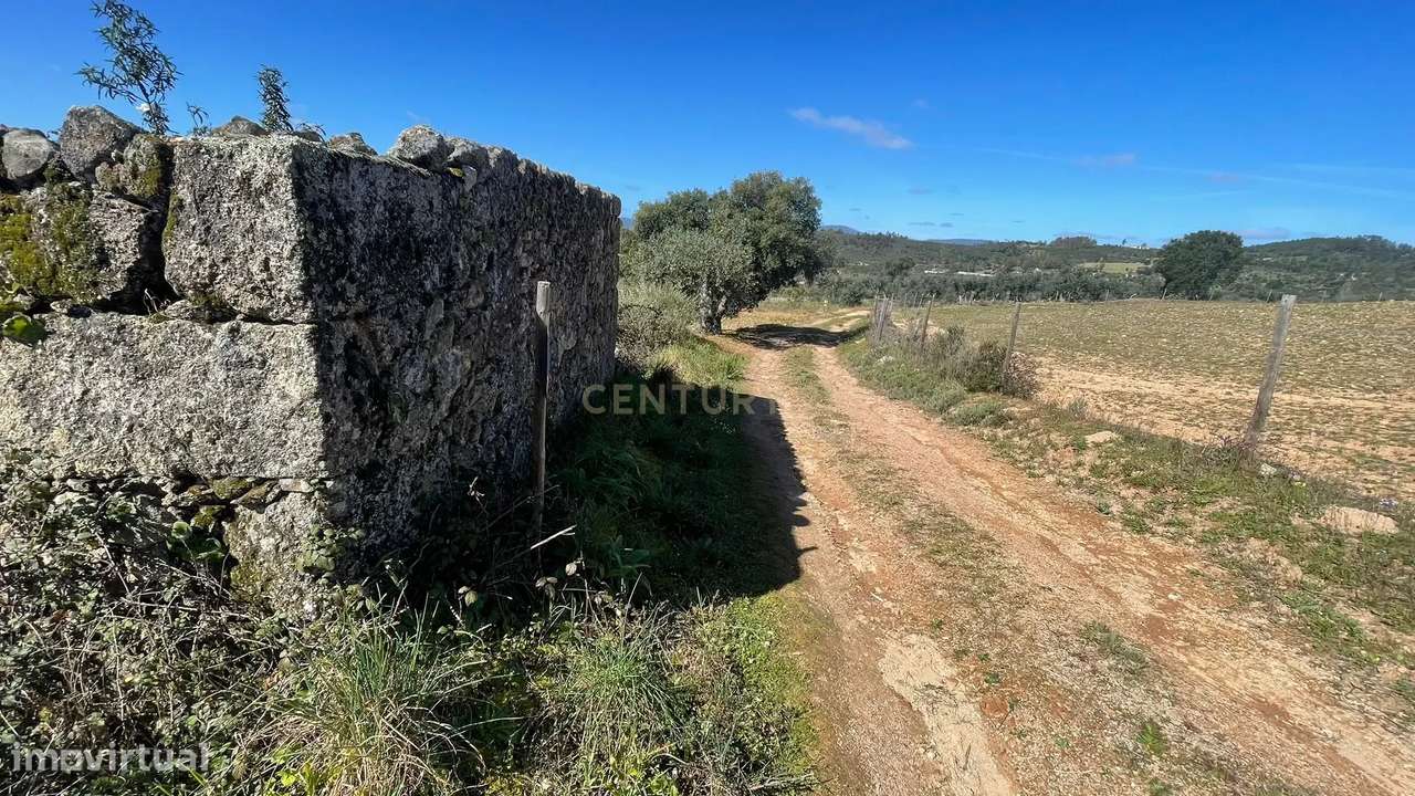 Terreno Rústico | Ninho do Açor/Sobral do Campo, Castelo Branco - Grande imagem: 3/22