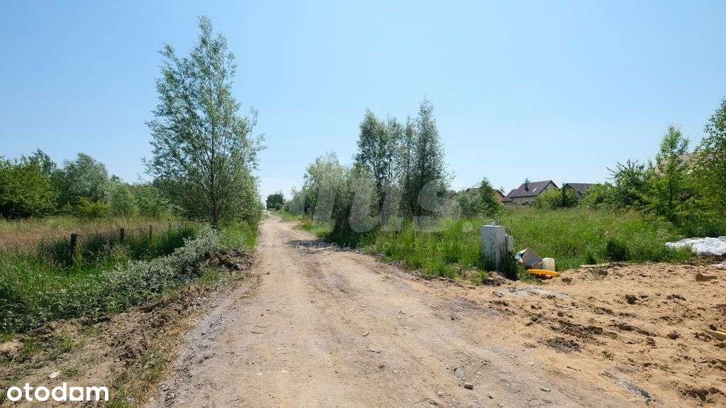 Dołuje, ul. Gołębia, Sj w pl. ogólnym - zab. jedn.-4