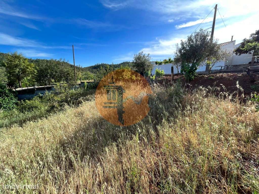 Terreno Rústico - Grande imagem: 3/11