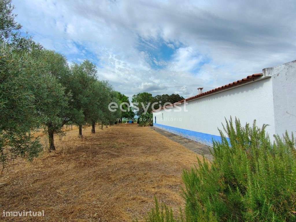 Monte Alentejano T2 com 50.189 m2 a poucos Kms da cidade de Beja - Grande imagem: 5/25