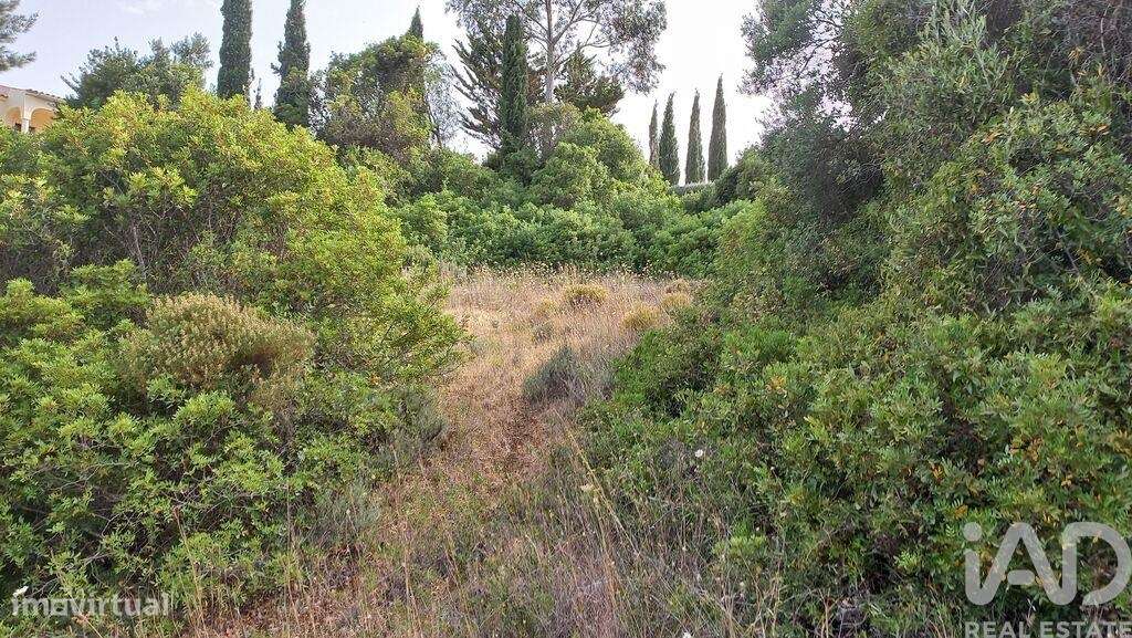 Terreno em Loulé (São Clemente) de 700,00 m2 - Grande imagem: 3/4