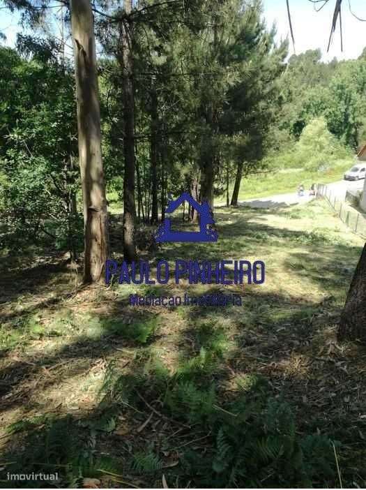 Terreno Olival - Grande imagem: 4/7