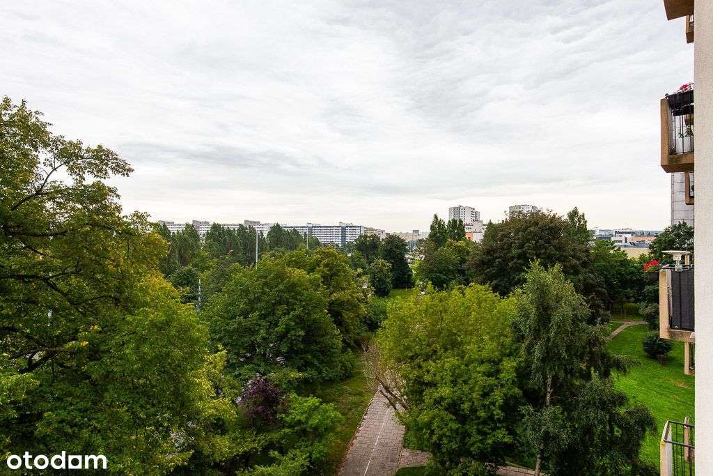 3 pokojowe mieszkanie - Przymorze Gdańsk-11