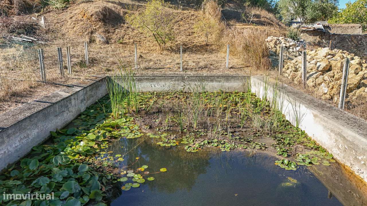 Quinta na Arrábida com moradia T5 de 364 m2 em lote de 13 520 m2 Onde-54