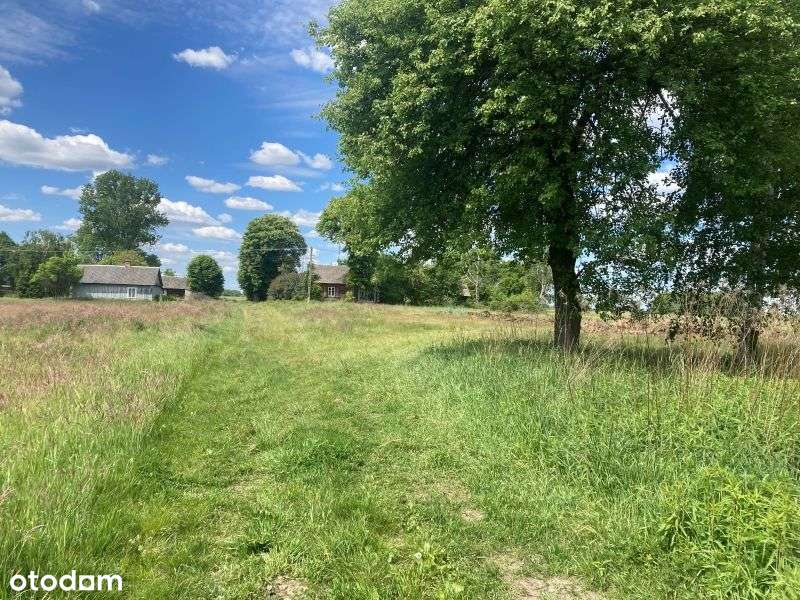 DZIAŁKA SIEDLISKOWA 3,51 ha| Michów-Kamionka