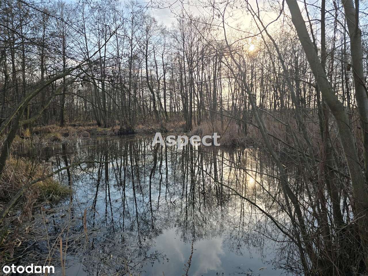 Działka z własnym stawem