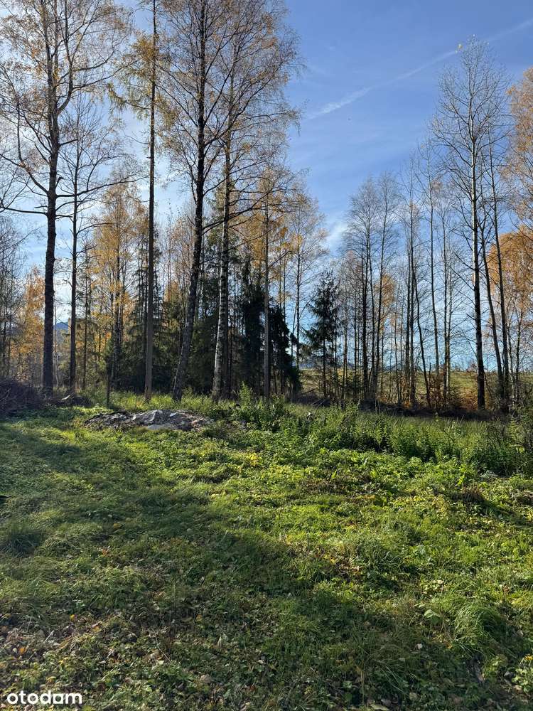 Działka z pozwoleniem na budowę - Antałówka - Zakopane - Pełny obrazek: 4/8