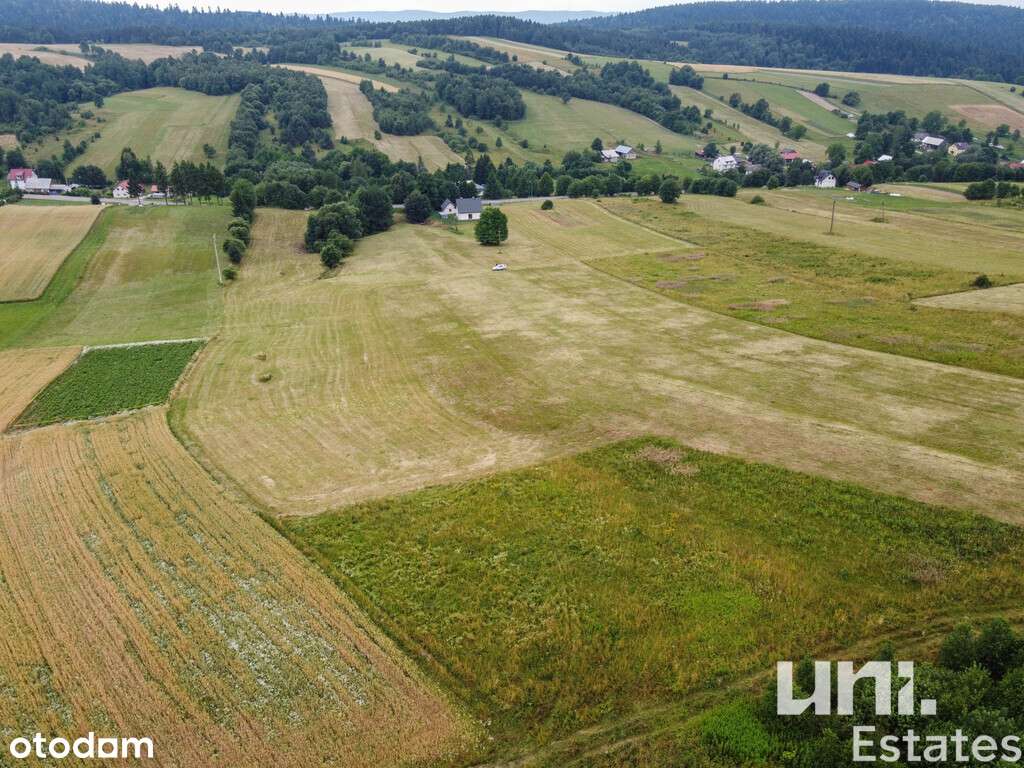Kuźmina | 3 działki | 108 ar - Pełny obrazek: 4/16