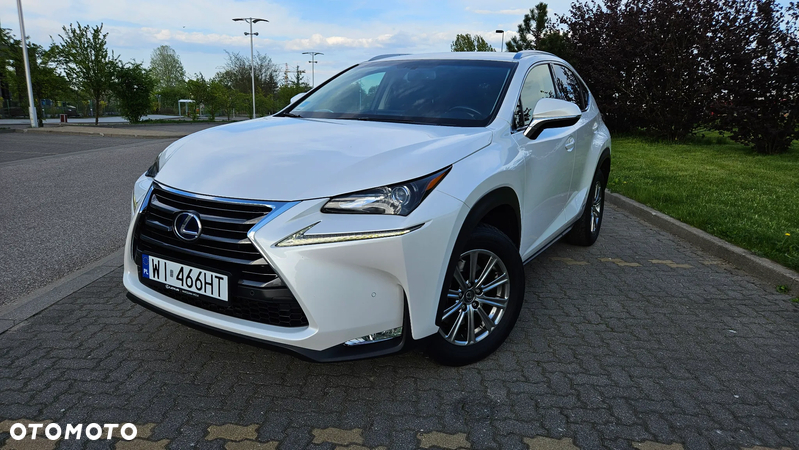 Lexus NX - 27