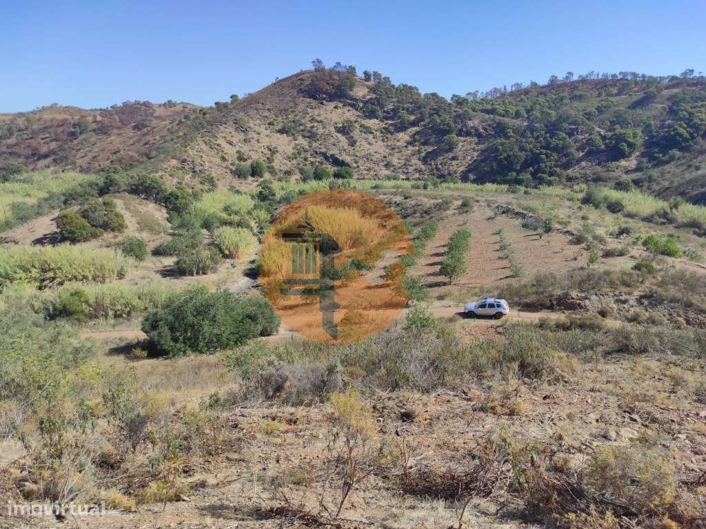 TERRENO RÚSTICO COM 5.550 M2 - COM ÁGUA - CONCEIÇÃO - TAVIRA - ALGARVE - Grande imagem: 1/30
