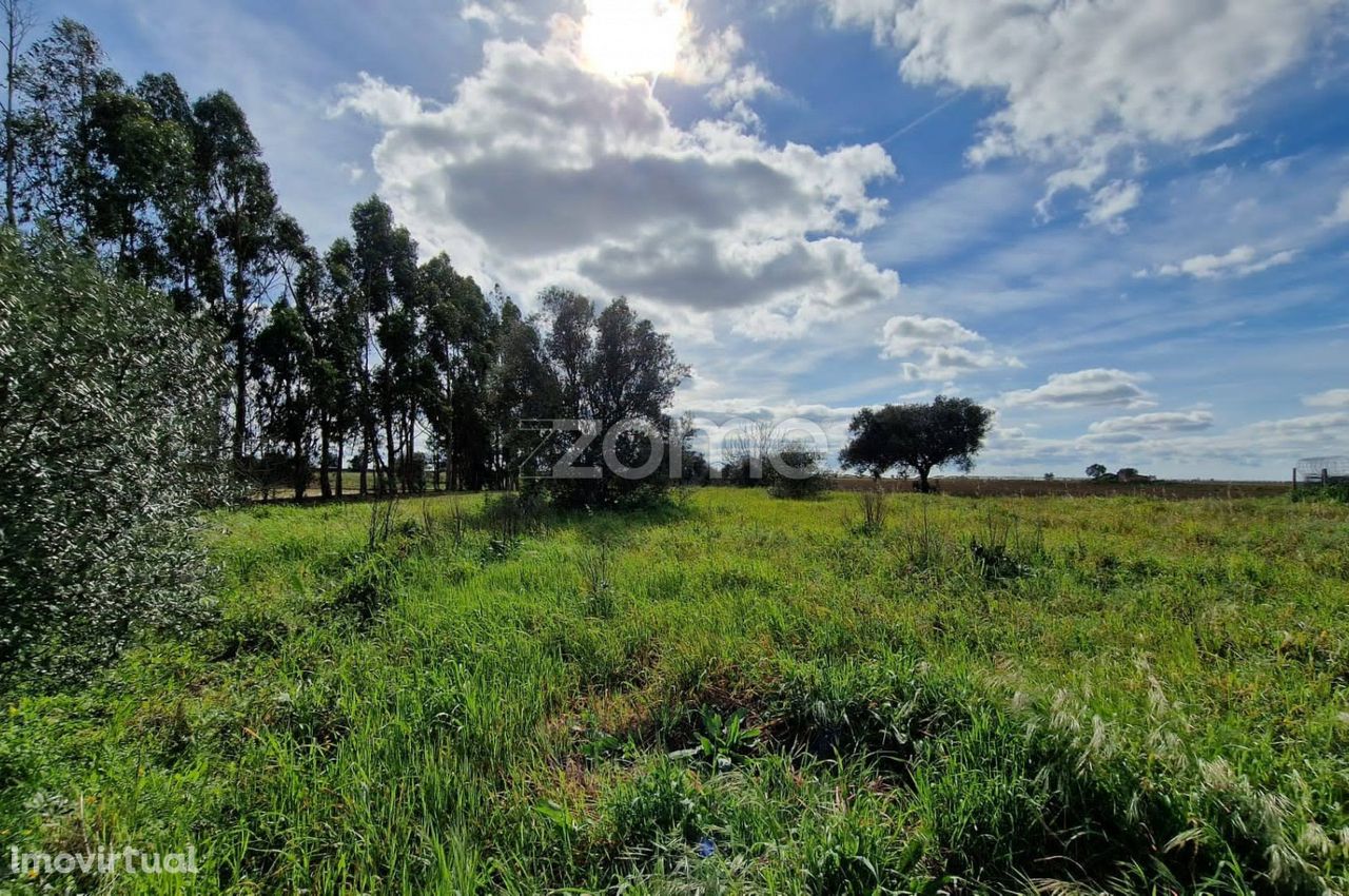 Quinta em Ferreira do Alentejo - Gasparões