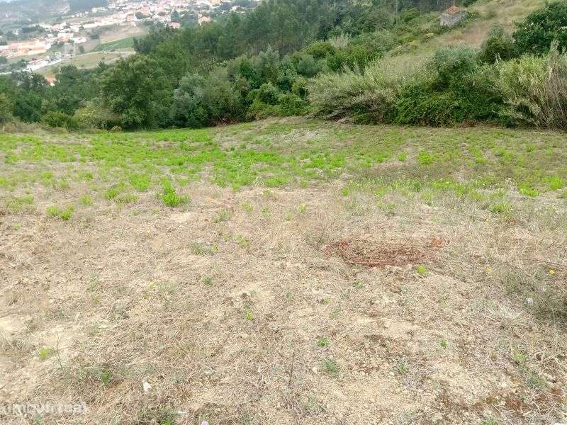 Vendo terreno rustico - Grande imagem: 3/4