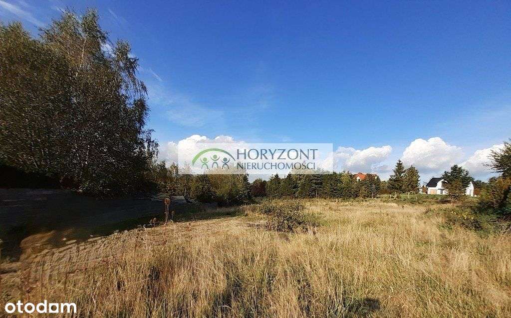 Czaple - dwie działki do wyboru - Pełny obrazek: 5/9