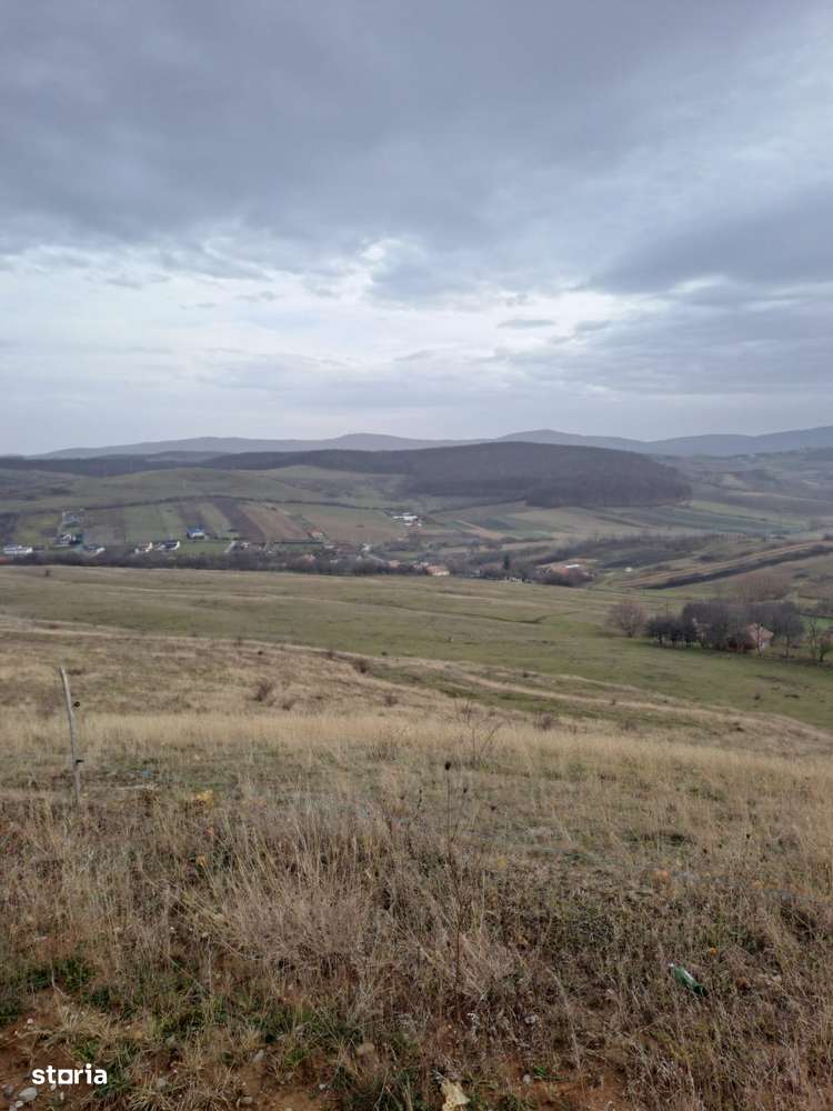 Teren extravilan la limita cu intravilanul 14 ha RECEA MICA-0
