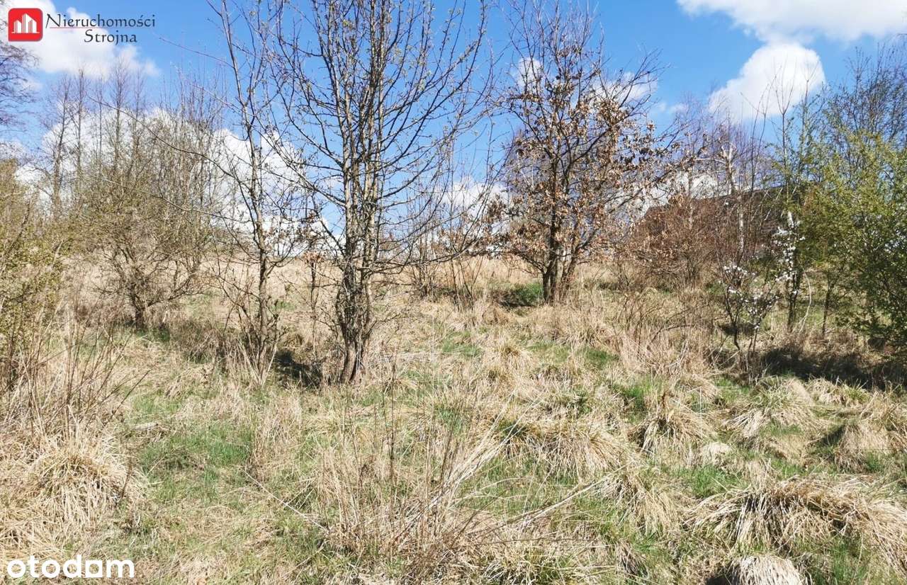 3 Malownicze działki budowlane. 6 km od Wieliczki - Pełny obrazek: 4/8