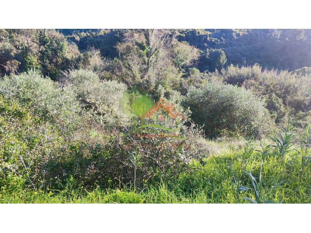 Terreno rústico perto da Praia de S. Julião - Grande imagem: 5/8