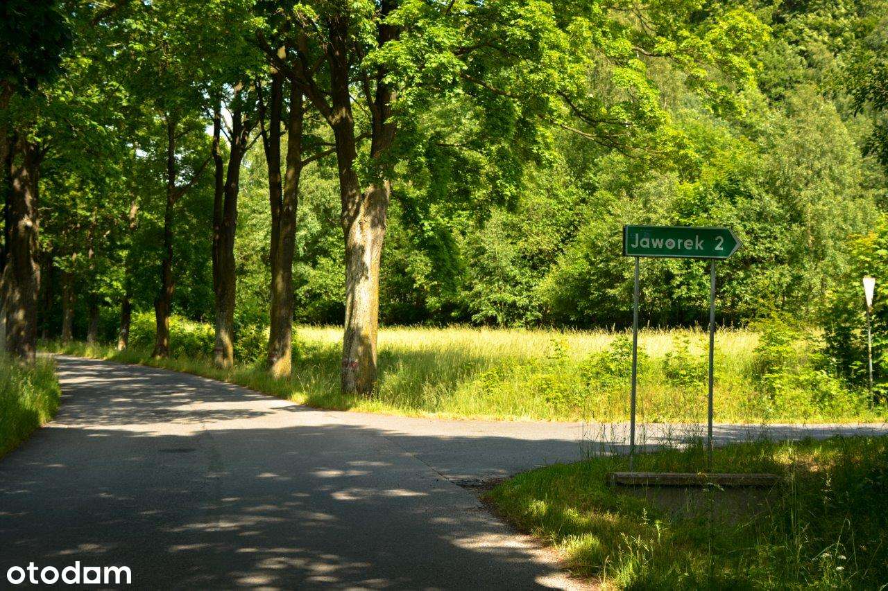 Działka z przepięknym widokiem na las i góry - budowlana w MPZP-6