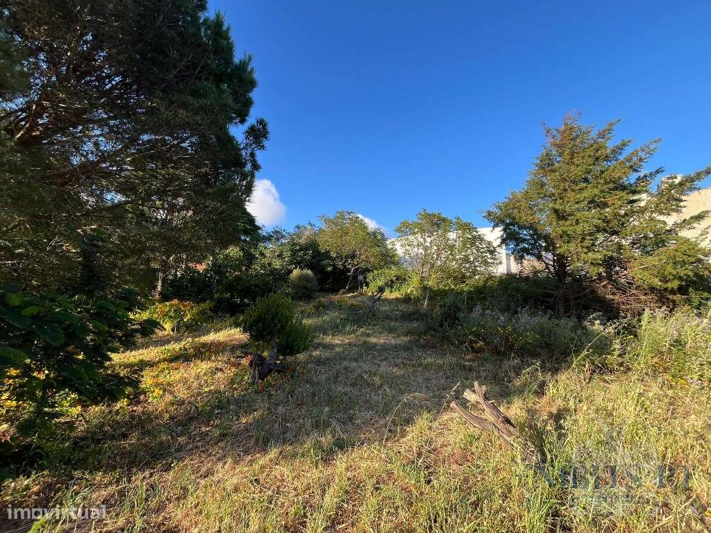 À VENDA: Lote com vista mar em Malveira da Serra - localização elev...-16