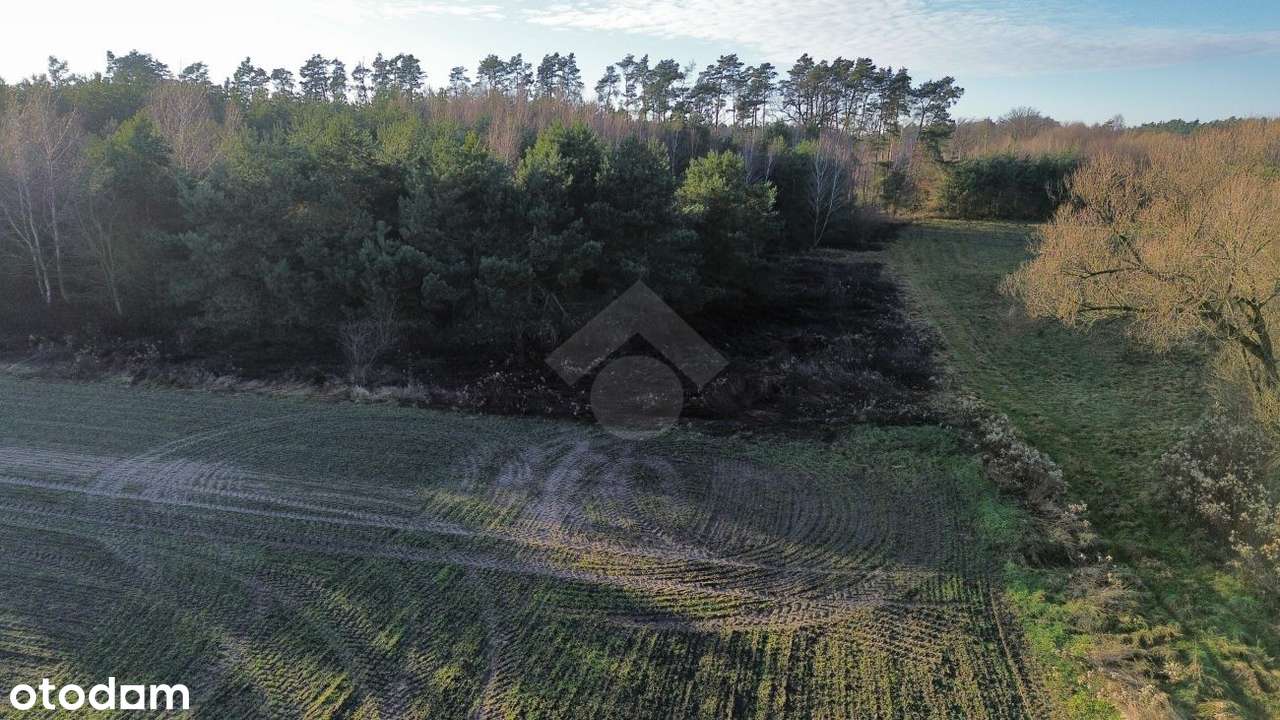 Działka budowlana | Spokojna okolica | MPZP - Pełny obrazek: 4/7