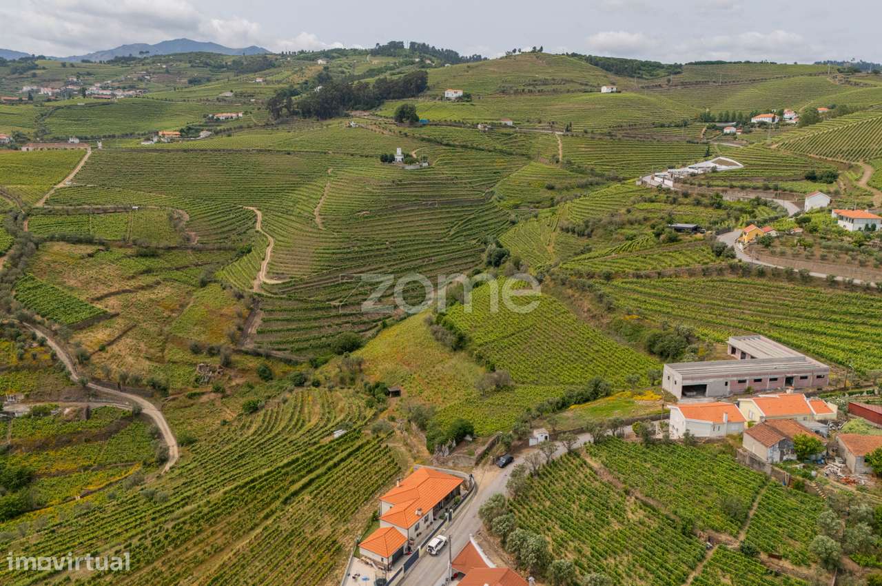 Terreno com 9.375 m² em Santa Marta de Penaguião - Grande imagem: 5/8