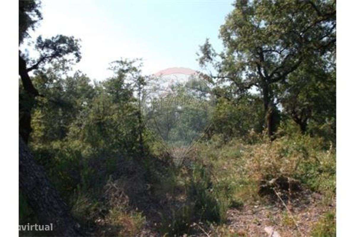 Terreno  para venda - Grande imagem: 5/7