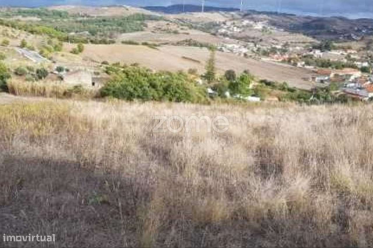 Terreno do Outeiro Grande em Pêro Negro - Grande imagem: 3/15