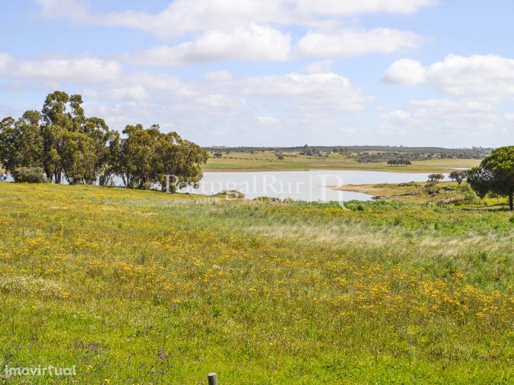 Terreno para construção de Exploração Agrícola