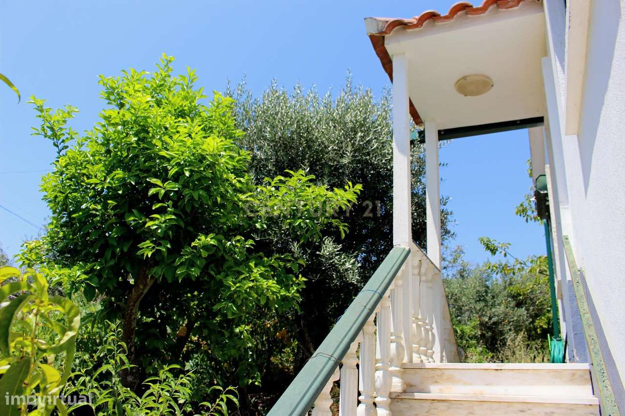 Moradia T4+1 com Adega, Anexo e Terreno de 2.000 m² em Pedrógão Grande - Grande imagem: 4/42