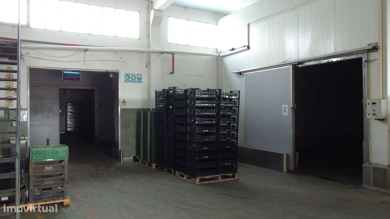 Armazém Industrial com Câmaras Frigoríficas – Lourinhã-7