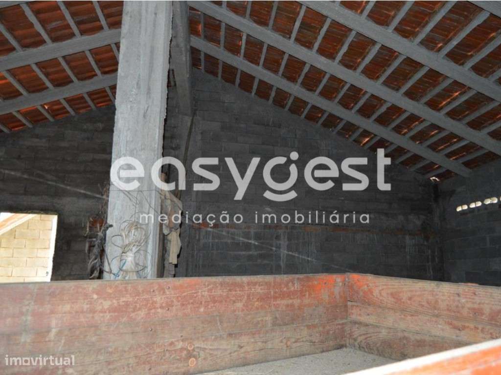 Terreno para cultivo com área de 3160m2 a confinar com ribeiro - Grande imagem: 3/26