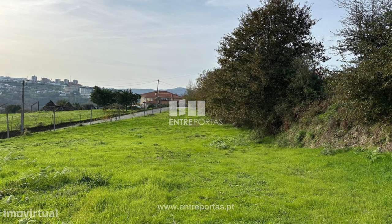 Venda Terreno Varzea de Ovelha, Marco - Grande imagem: 5/29